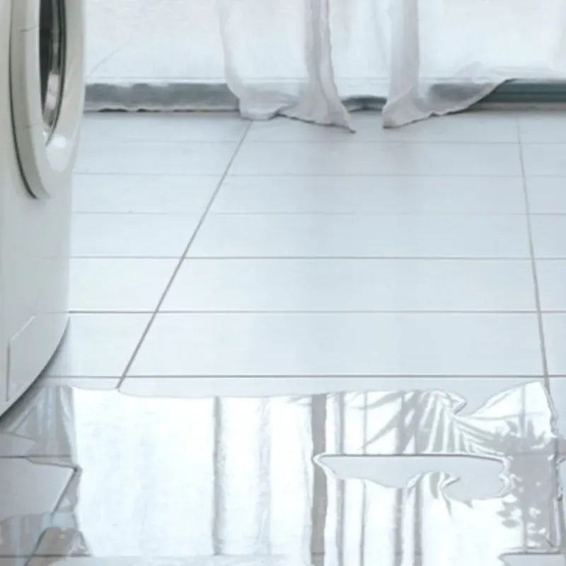Appliance Leak Cleanup in June Park, FL