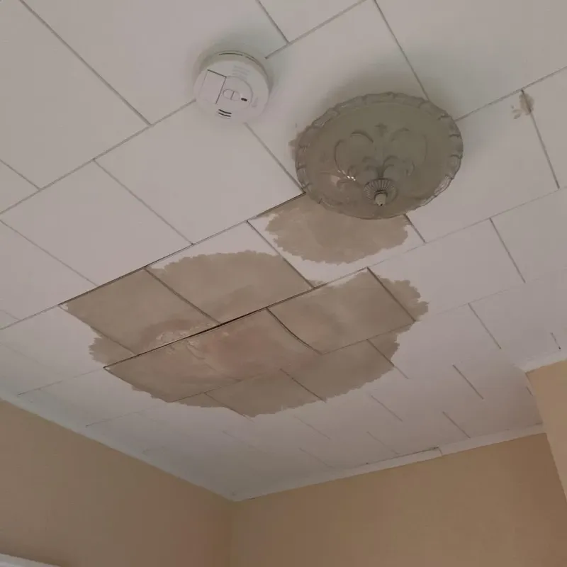 Ceiling Water Damage Repair in June Park, FL